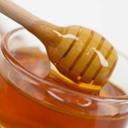 чернокленовый мед свойства